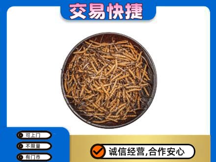 汕尾回收散虫草